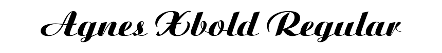 Agnes Xbold Regular