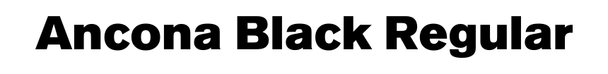 Ancona Black Regular