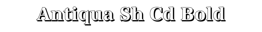 Antiqua Sh Cd Bold