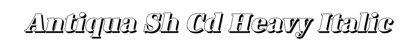 Antiqua Sh Cd Heavy Italic
