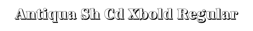 Antiqua Sh Cd Xbold Regular