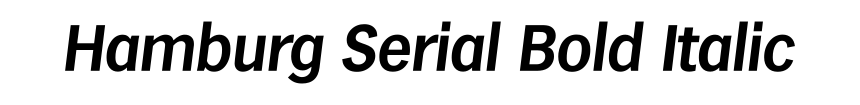 Hamburg Serial Bold Italic