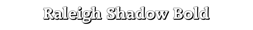 Raleigh Shadow Bold